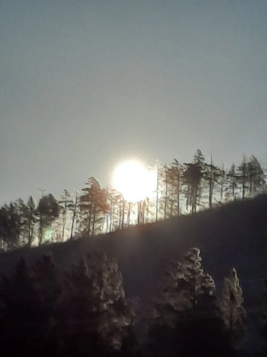 Серёжки. Рассказ