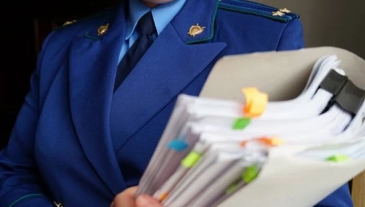 Прокуратура Палкинского района защищает пенсионерку, пострадавшую от дистанционных моше...