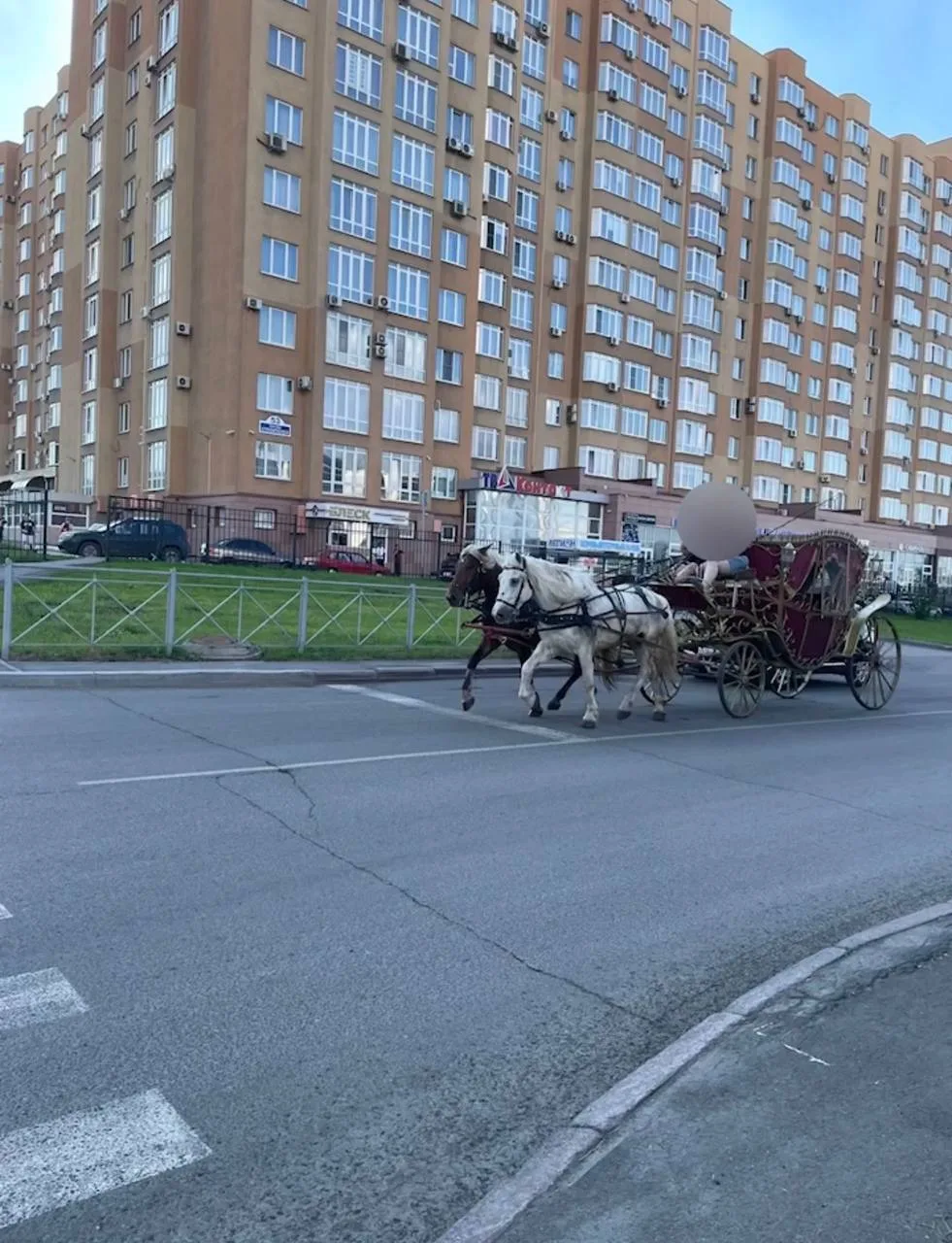 Карету, запряженную двойкой лошадей, запечатлели в Кемерово.