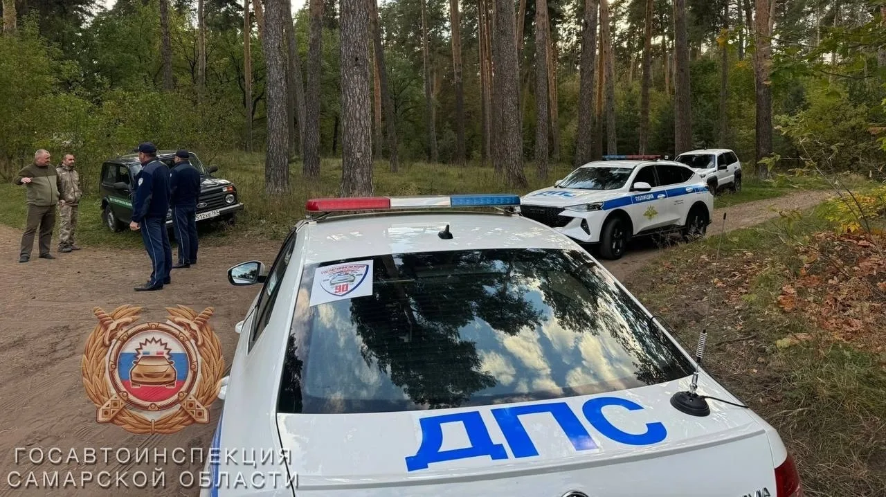 🚔 Рейды в городских лесах продолжаются