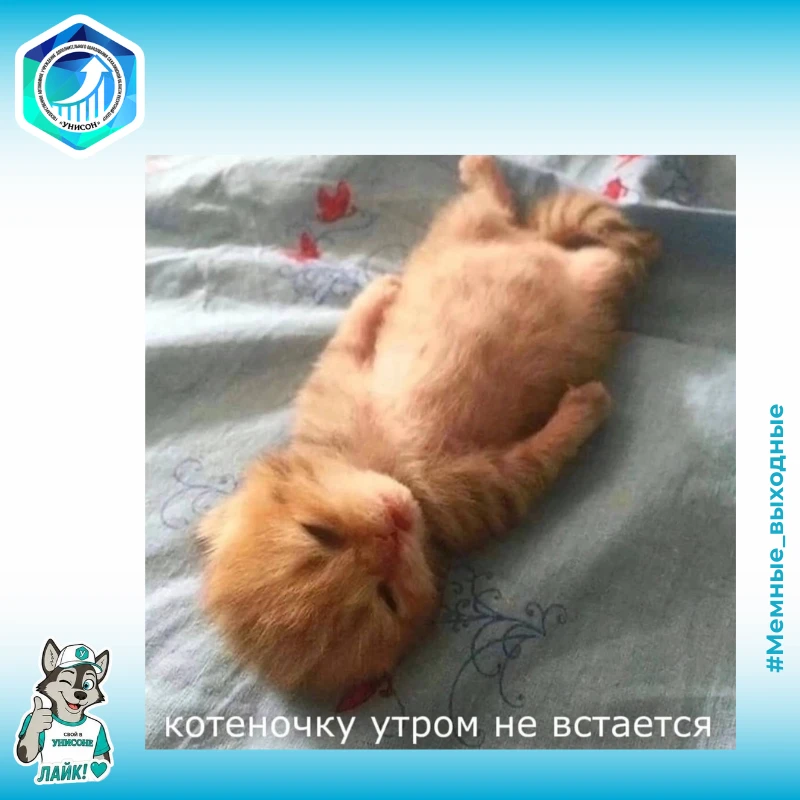🌚 Делитесь вашими любимыми мемами, смешными картинками и видео в комментариях!