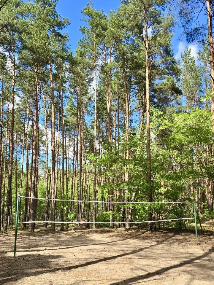 Дышим свежим воздухом и становимся сильнее в #ПикникПарк 🏃‍♂️