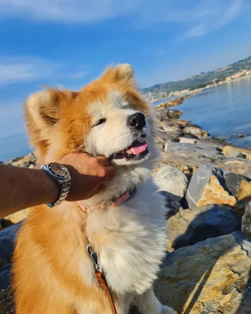 Морской воздух всегда кстати🌊