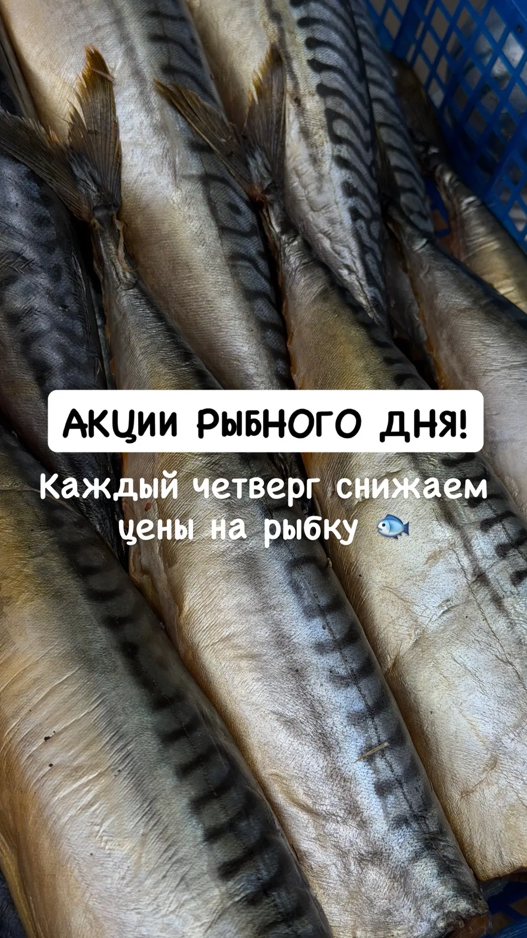 ☄️РЫБНЫЕ ДЕНЬКИ В «КОРОЛЕВСКОЙ КРЕВЕТКЕ»
