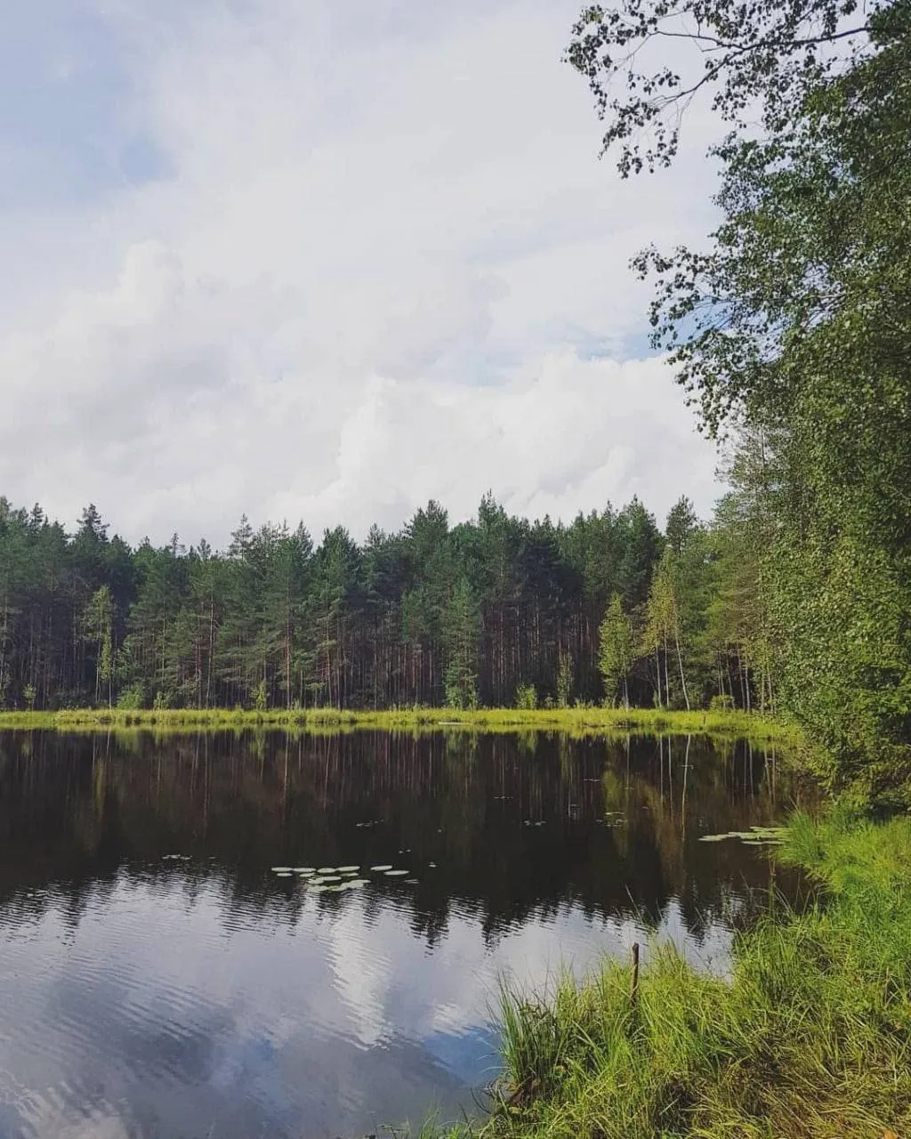 Отдохните на природе в «Колтушских высотах» 

🗺Всеволожский район Ленобласти! 

🌲В получасе от Сан