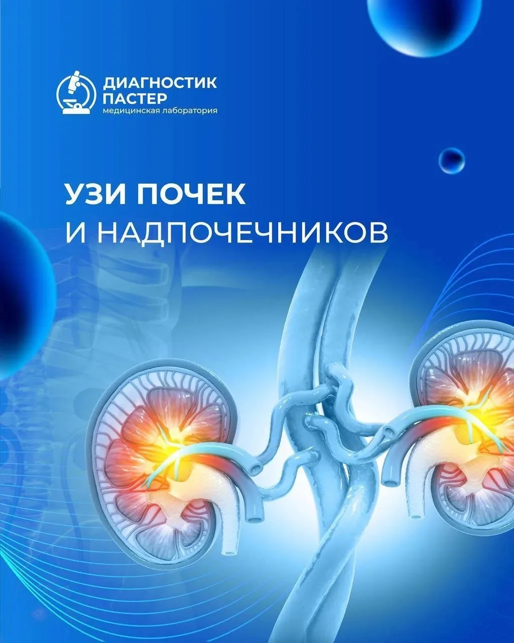 УЗИ почек и надпочечников - когда нужно?