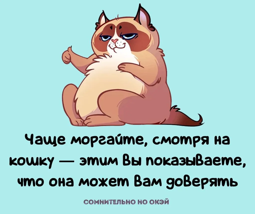 Признавайтесь, знали?