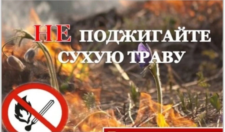 Палы сухой растительности: опасность и ответственность
