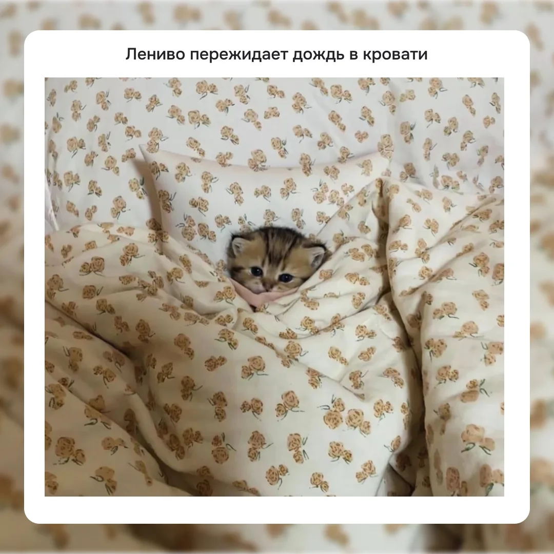 В Биробиджане снова дождь, но мы нашли способ поднять настроение!