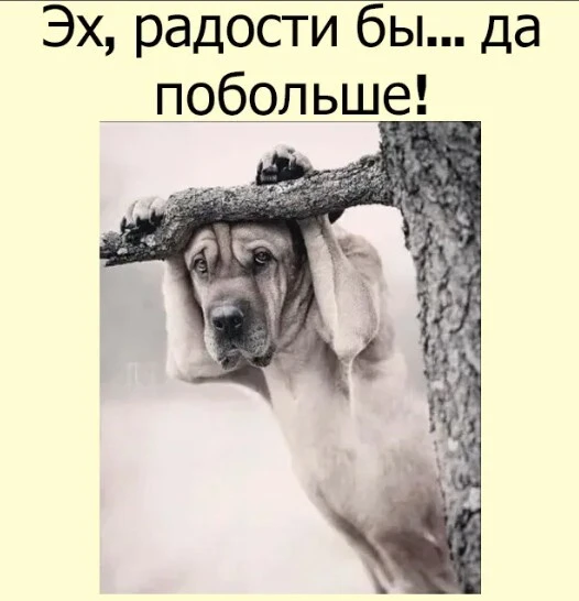 Эх... Сущая правда...