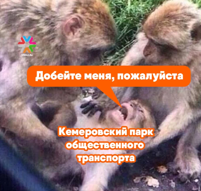 При подготовке кемеровских автобусов к зиме вскрылись проблемы - успеют ли устранить