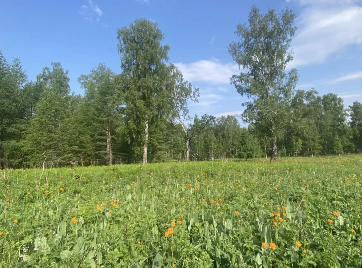 С Днём рождения, родная Республика Хакасия!