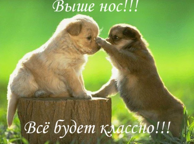 Список качественных каналов в МАКС | Смотреть ❤️