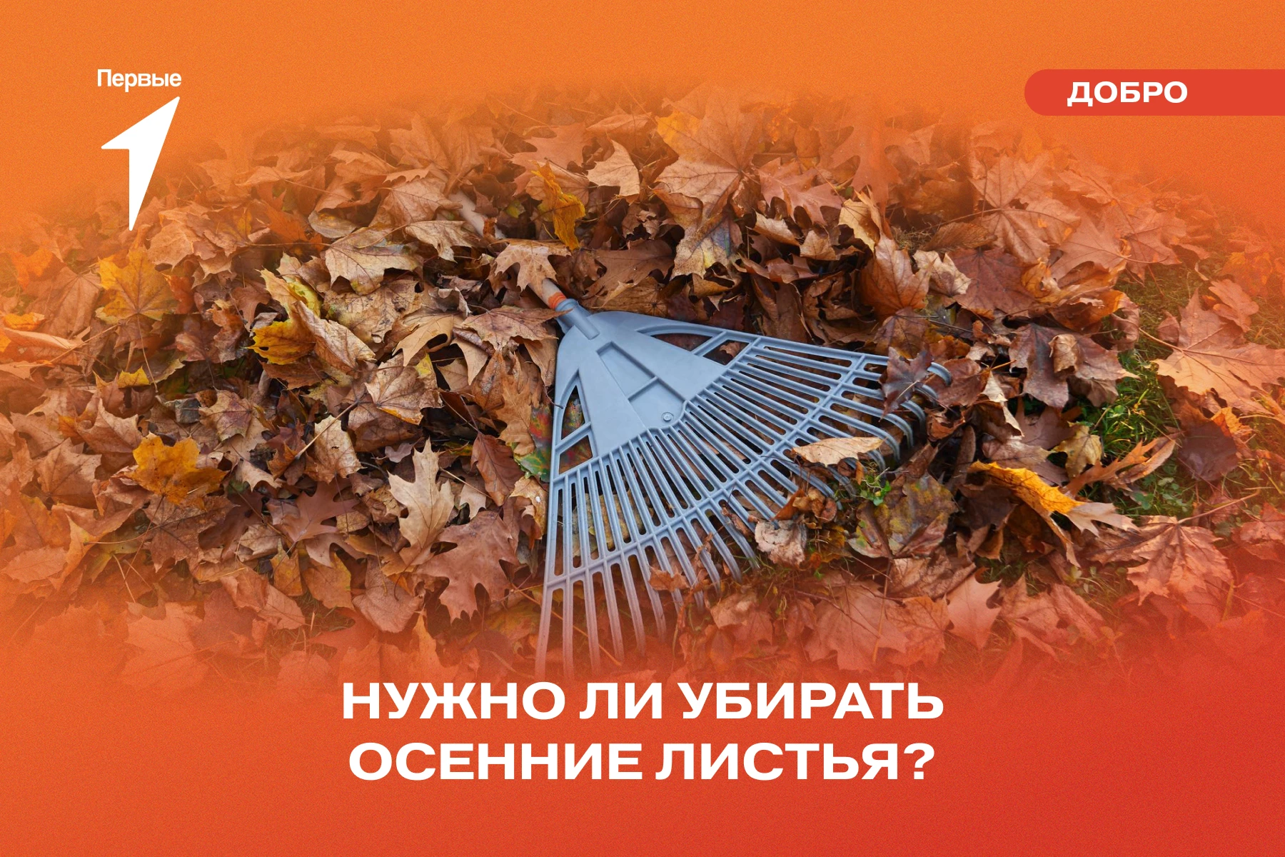 🍁 Выходя на субботник, помни о об этих правилах!