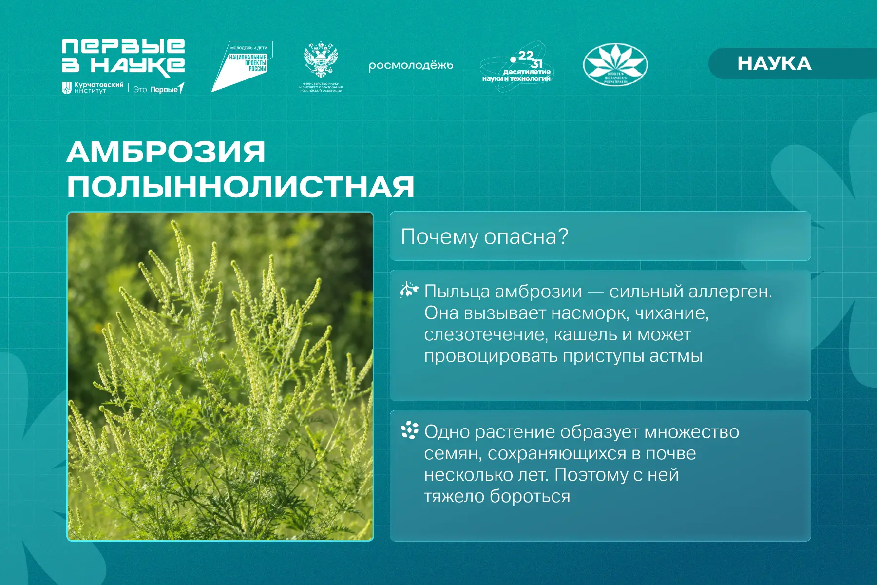 😳 Она умеет незаметно захватывать новые территории!