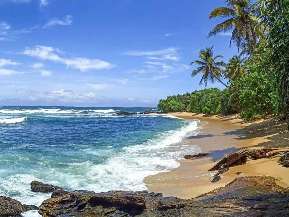 Шри-Ланка — Tangalle: новый иммерсивный курорт у озера