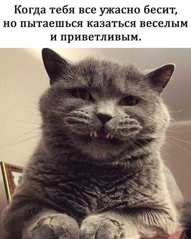 😂 Утро каждого понедельника