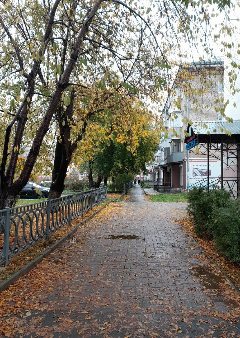 «Дожди непрерывные льют в октябре, но грамотным дождь не преграда...».
