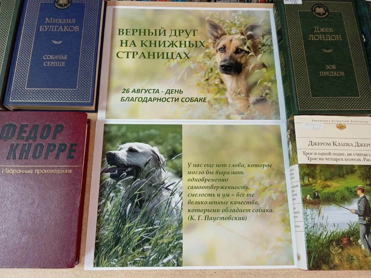 #библиотекафилиал9#библиотекафилиал9гТобольска