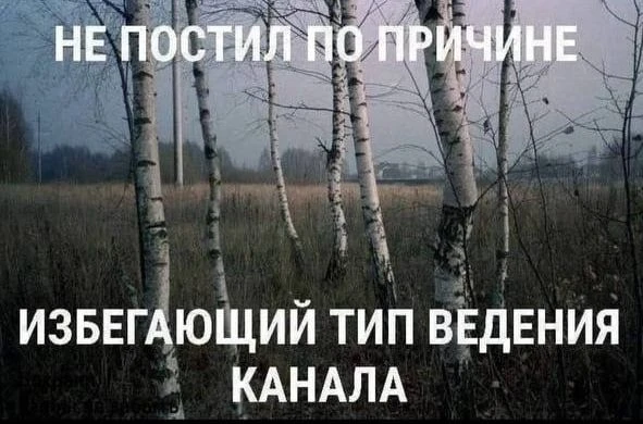Эх, ребята, простите, что так долго не писал! Это не значит, что я вас разлюбил. Ради вас даже к сем