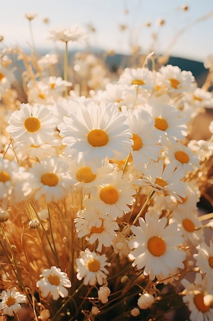 С Днем семьи, любви и верности! ❤️

Сегодня 8 июля — день, когда мы вспоминаем о самых важных людях 