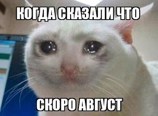 Почти два месяца лета позади