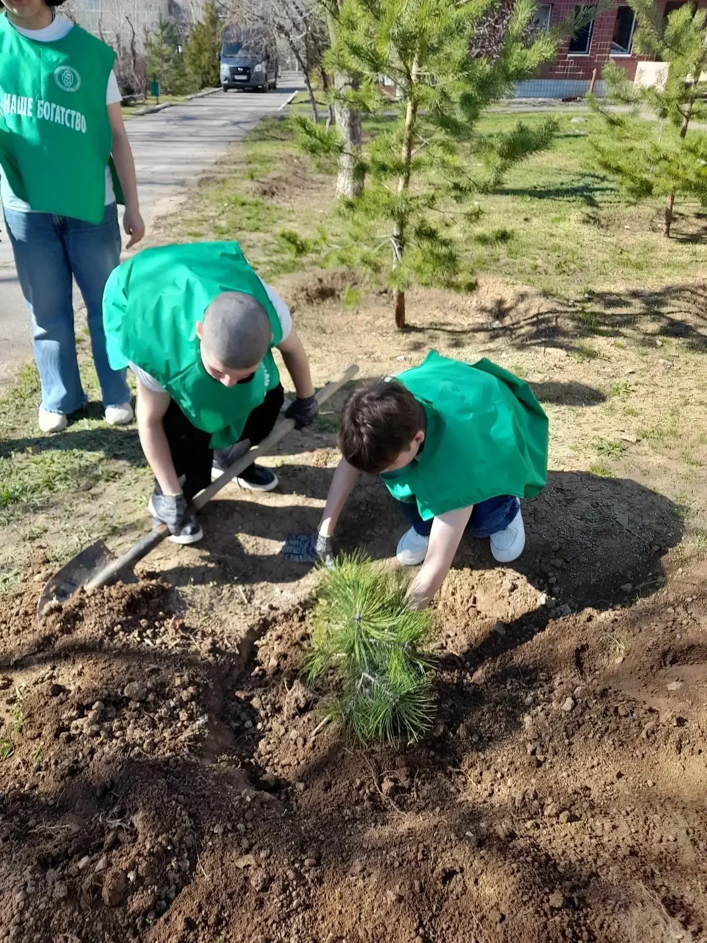 🌱 Региональное отделение Детского фонда дало старт акции по озеленению «Дети – детям»  Мероприятие р