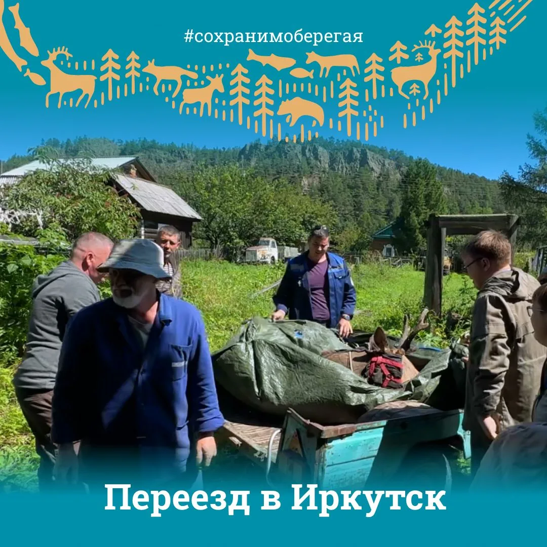 НОВЫЙ ДОМ