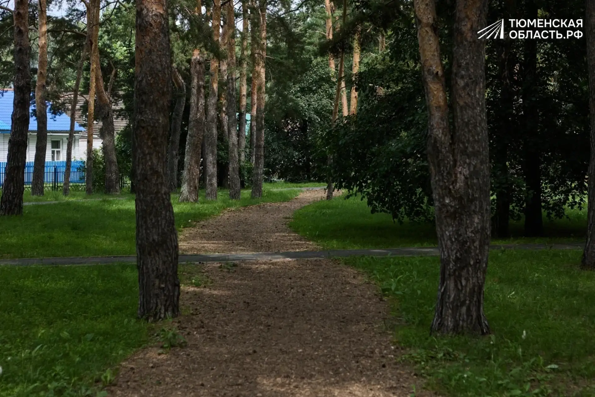 Тропки нас сквозь лес проведут 🌲