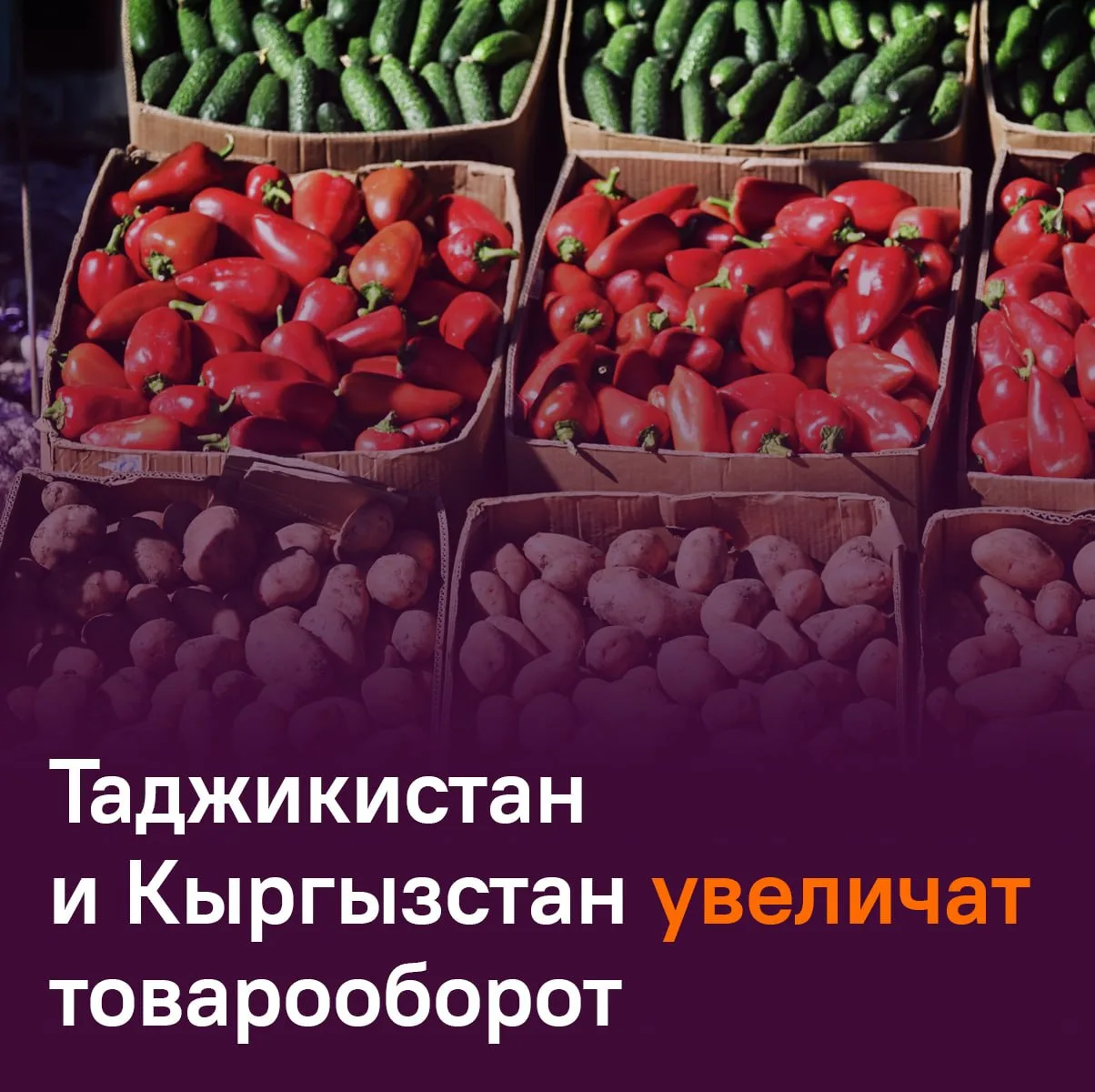 🇹🇯🇰🇬 От идеи до контракта: Таджикистан и Кыргызстан создали Деловой совет для расширения торговл
