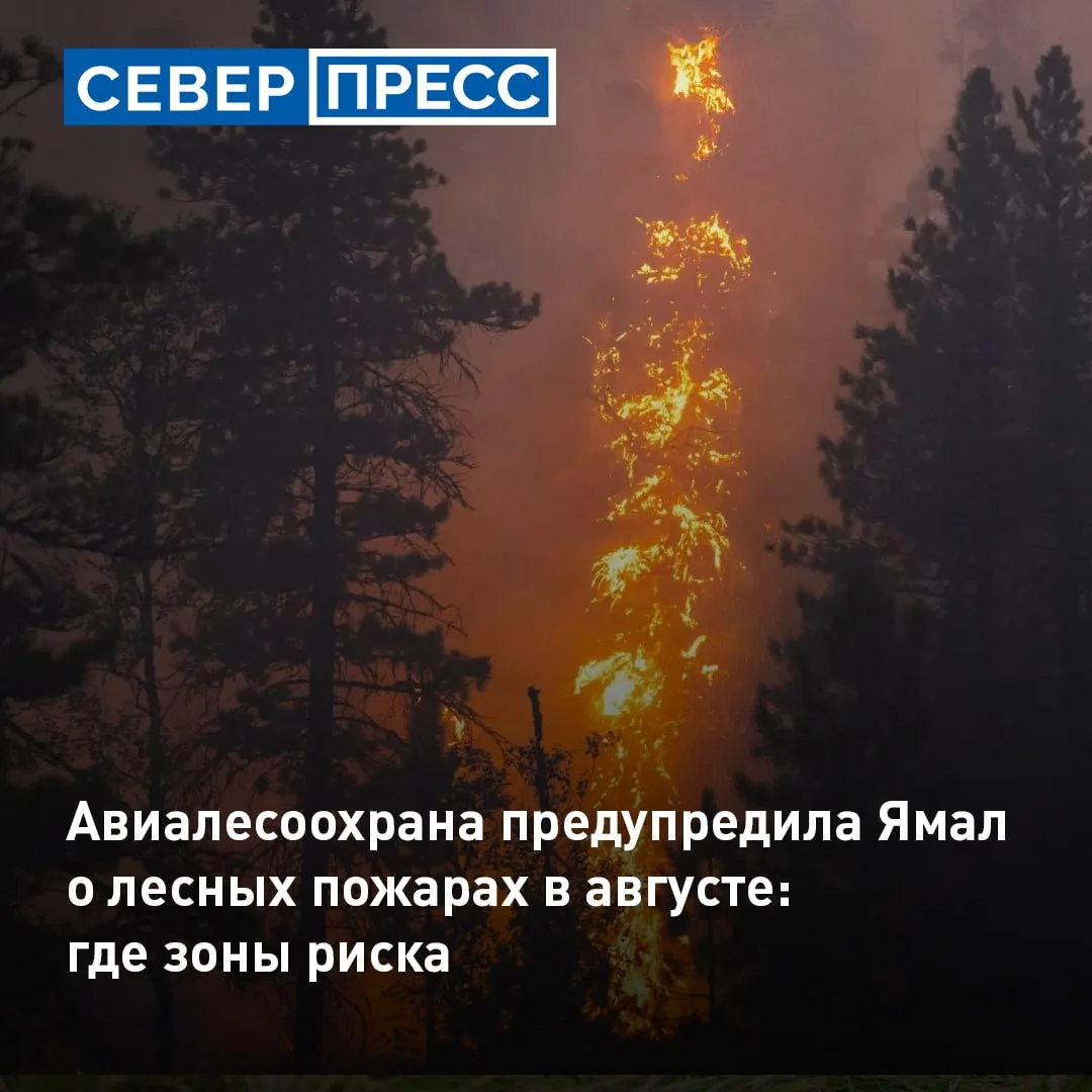 Федеральная Авиалесоохрана выпустила прогноз пожарной опасности в лесах на август. В зоне риска окаж