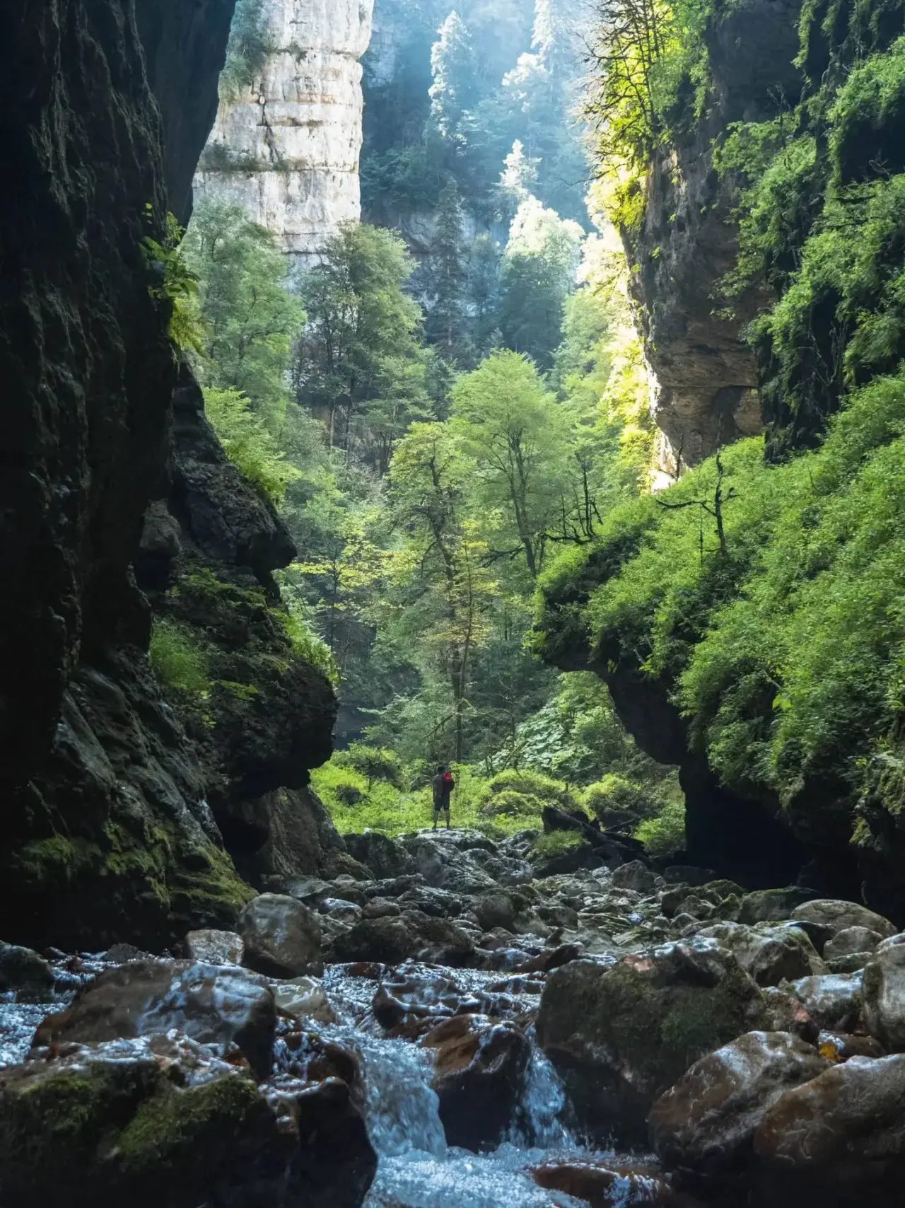 🌿 Скрытая жемчужина за Гуамским ущельем 🏞️ 
Всего в 2,5 часах от Краснодара находится ущелье Сухой