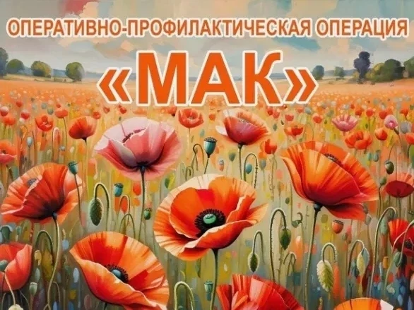 ОП № 5 МО МВД России «Буйский» проводит оперативно-профилактическую операцию «Мак-2026» 
В период с 