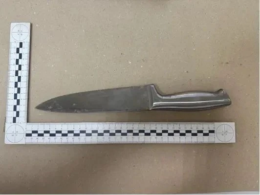 25-летняя жительница Абакана ножом убила своего супруга: завершено расследование уголов...