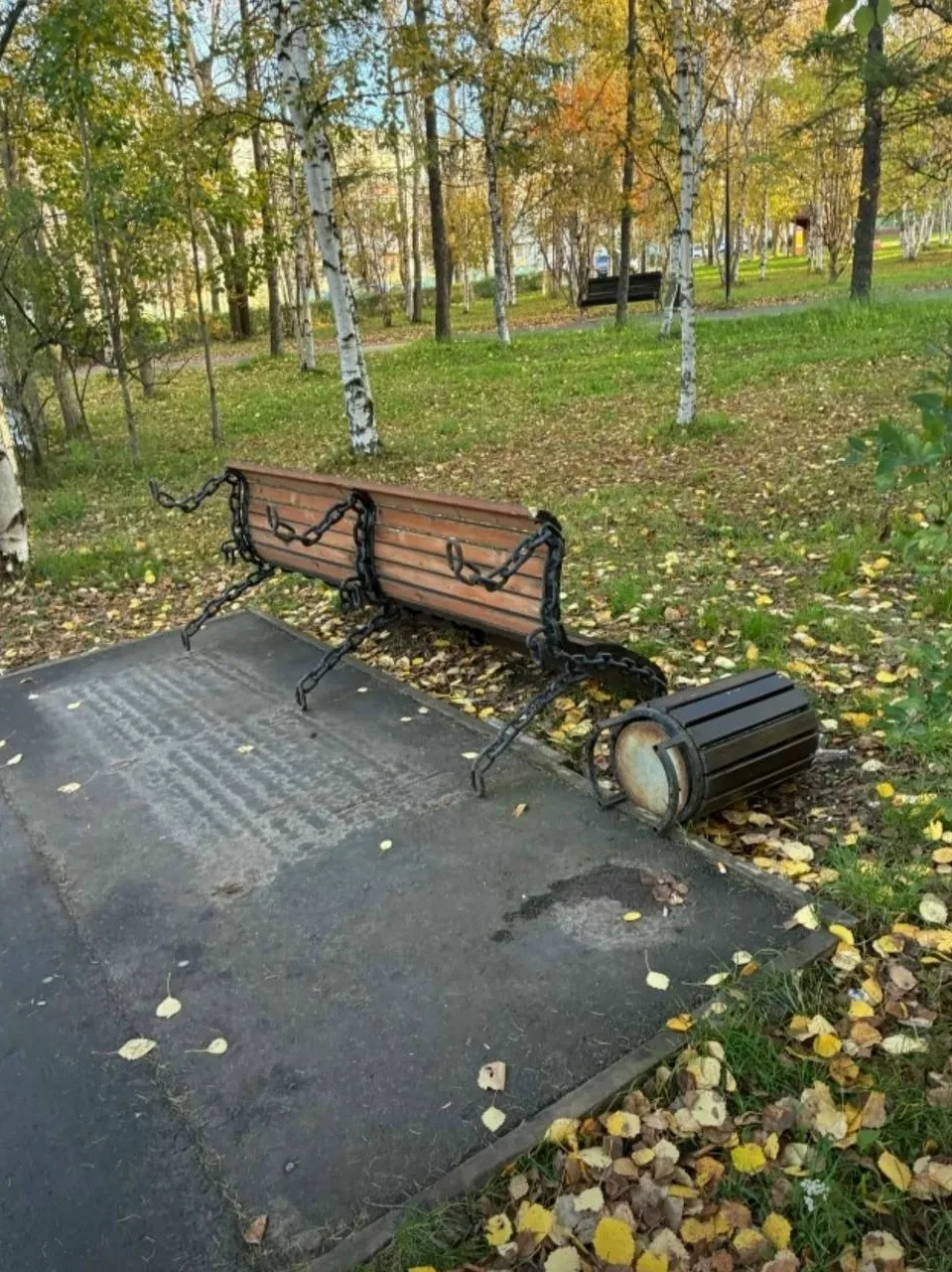‼ В парке на Яграх полный расколбас! Кто-то расфуфырил лавки, мусорные урны и помял дор...