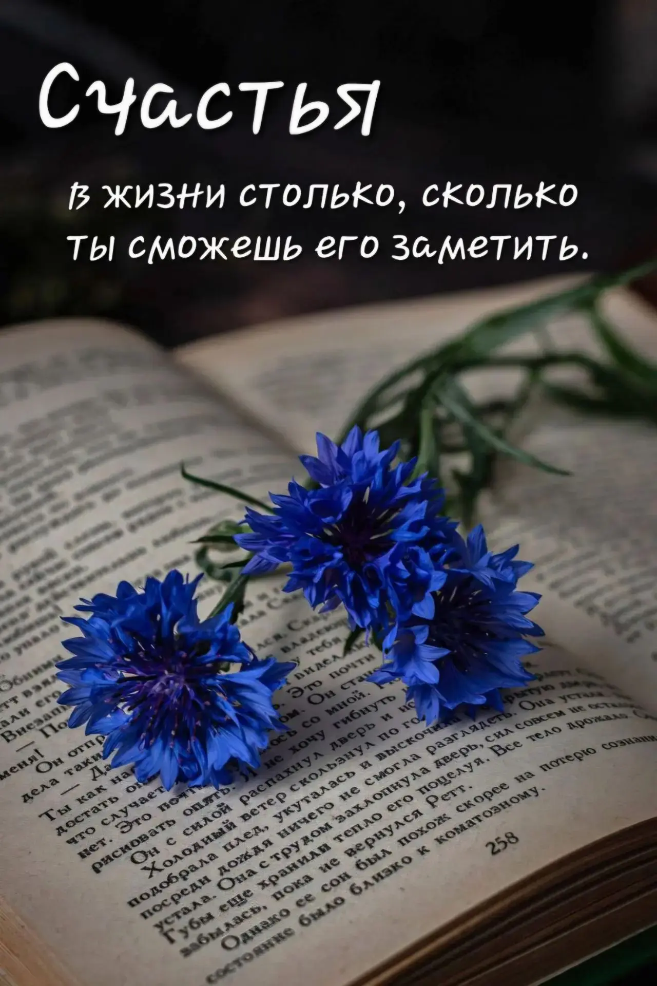 Друзья ! Я тут погуляла по каналам в МАКС 🌿. Иногда, среди десятков каналов попадаются...