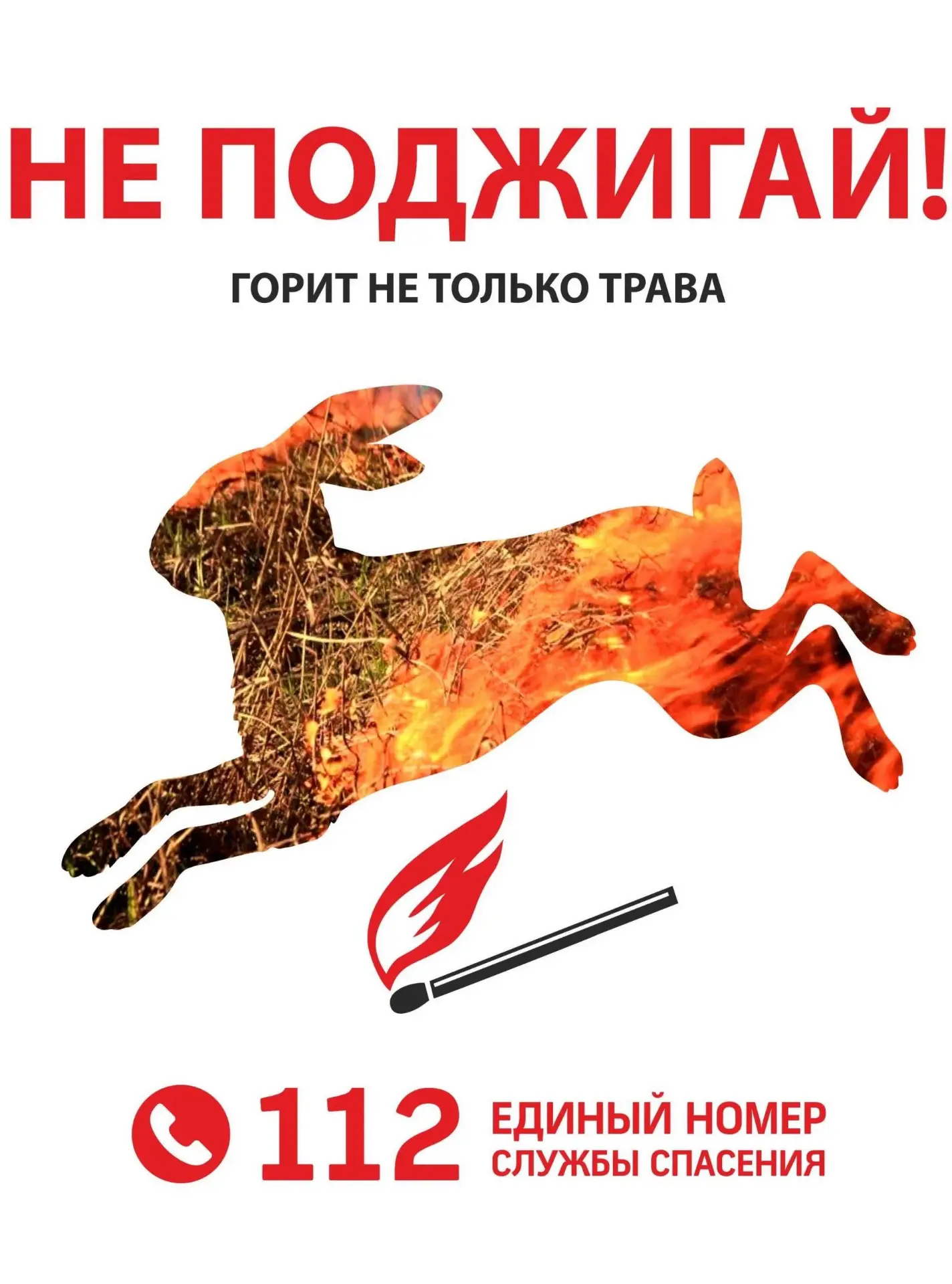 🔥12 раз горел сухостой  и мусор в Липецке за неделю

Один из пожаров случился из-за поджога тополин