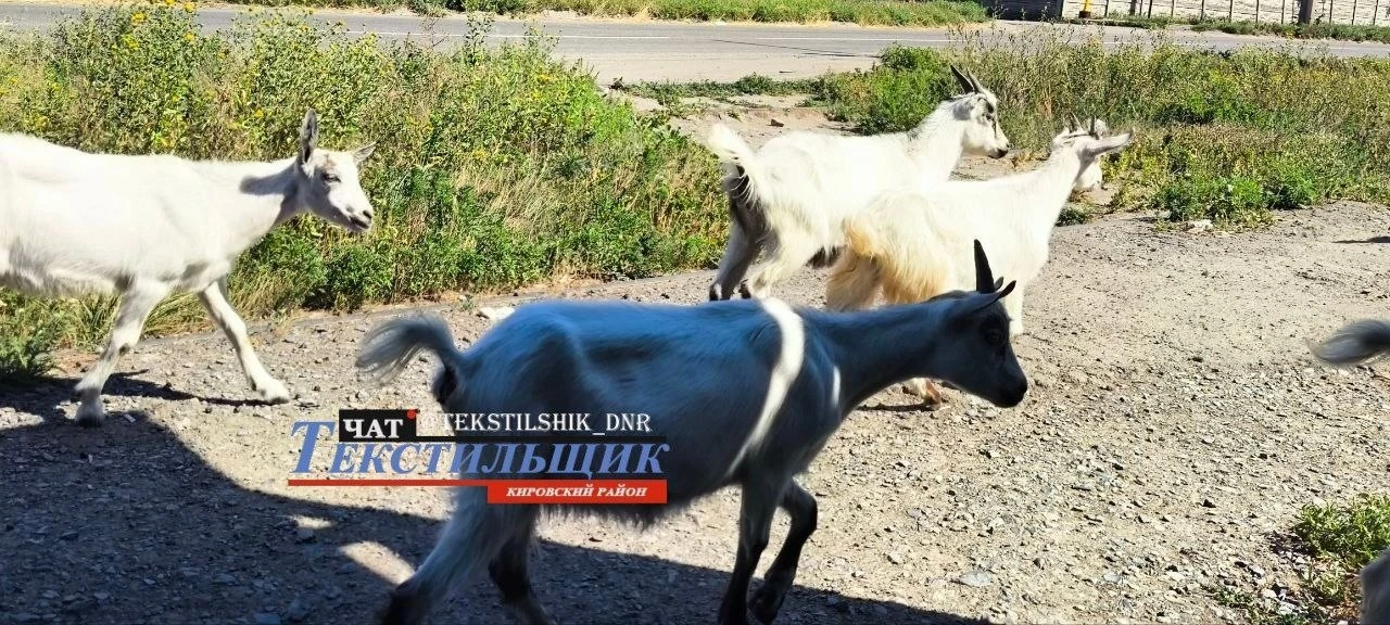 Тем временем, на Текстильщике.....