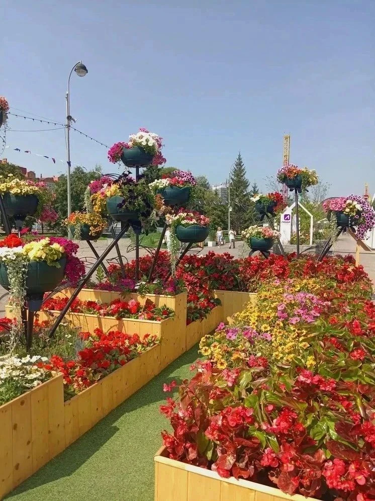 С «Тюмени цветущей» украли 105 растений