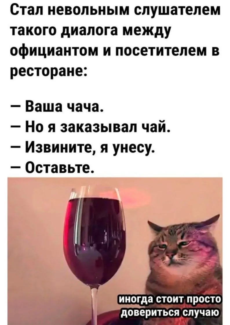 Мягкий кот