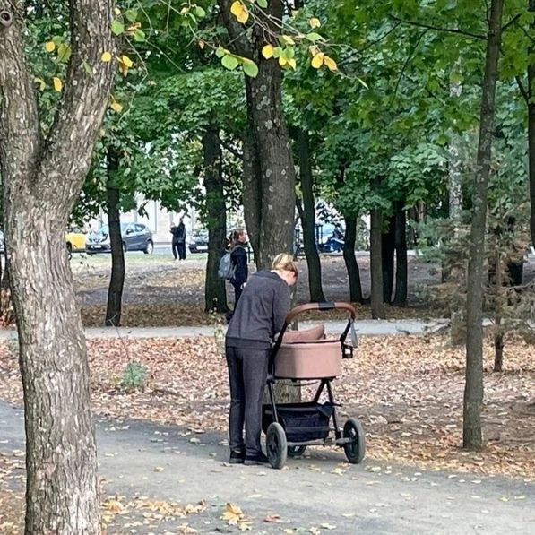 🤱🏻👛 Названо, сколько студенток в Карелии родили ребенка за год. Средний размер пособ...