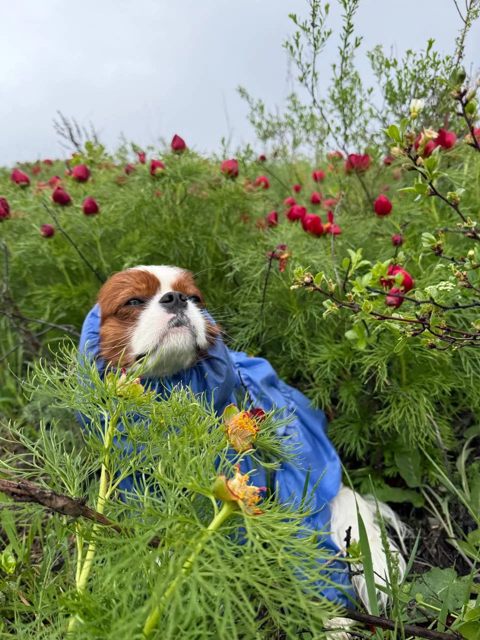 Всем добрый день! 💙💙💙