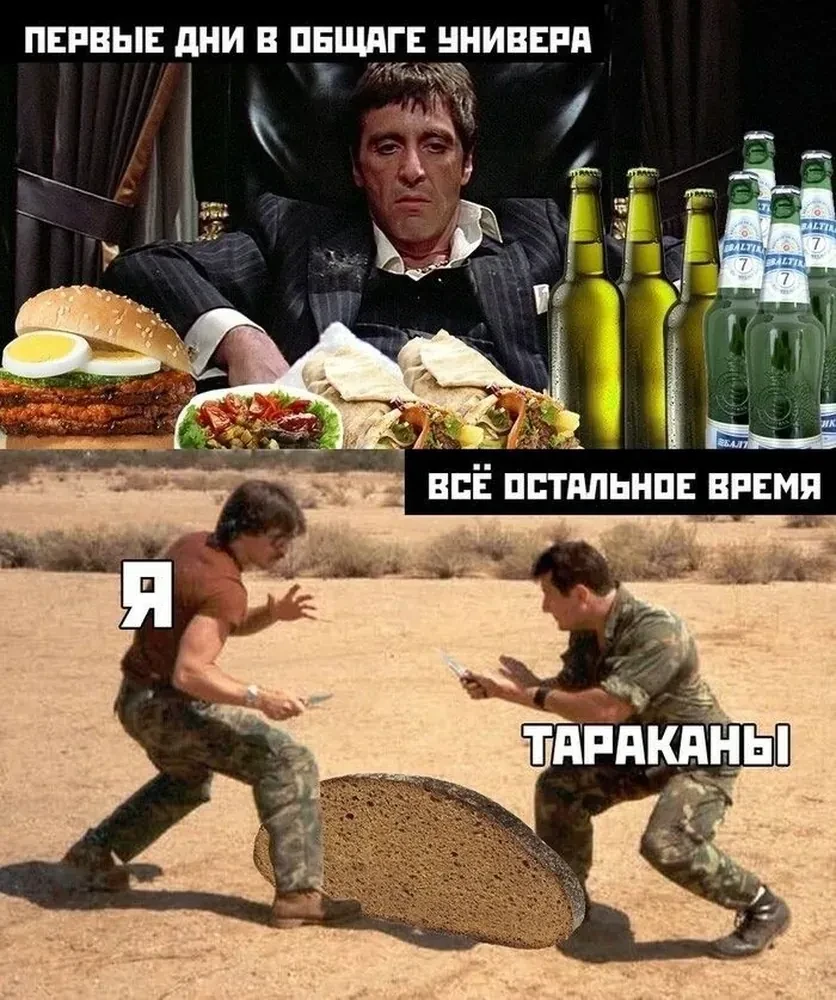 🏠 Студенческая ипотека: 3% первый взнос и ставка до 6%