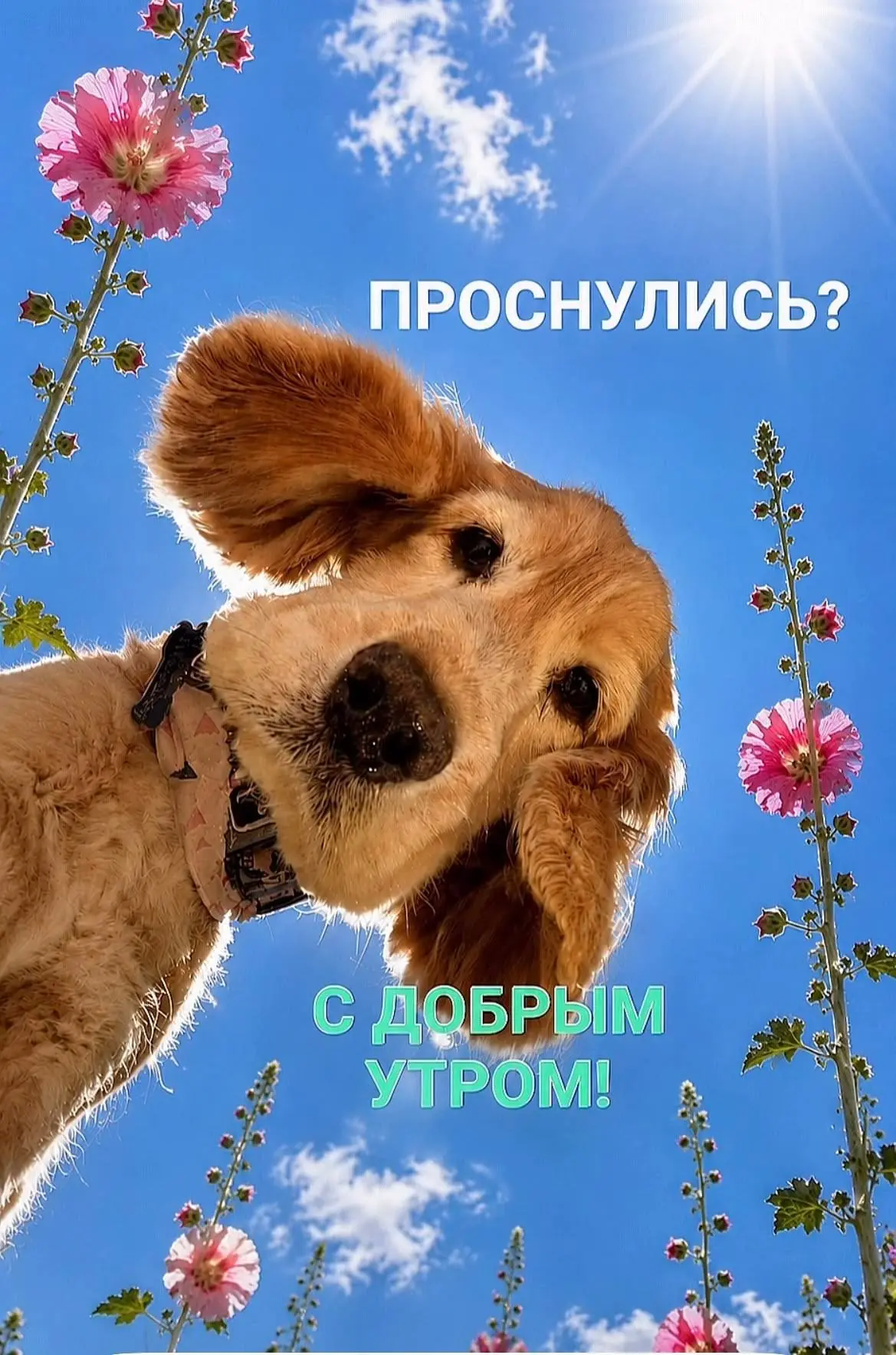Насыщенных всем выходных друзья 😉