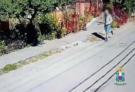 🚔 Серийный грабитель из ДНР попался в Ростове