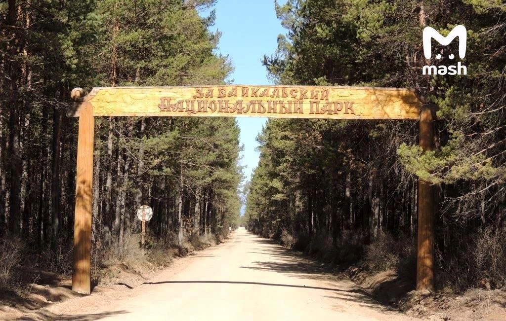В Забайкальском нацпарке запретили самостоятельные прогулки из-за нашествия медведей. Т...