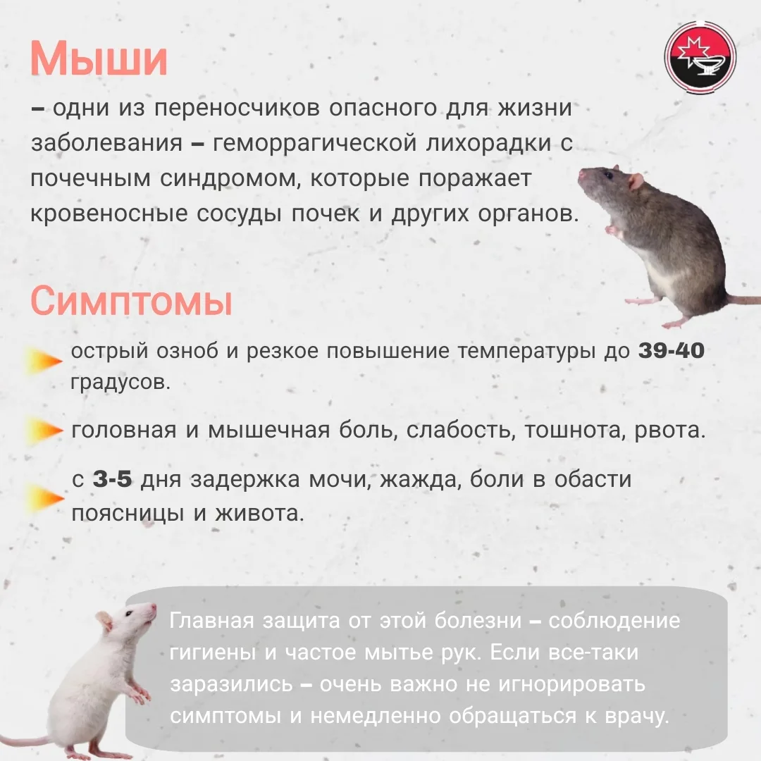 ❗Правила безопасности при отдыхе на природе