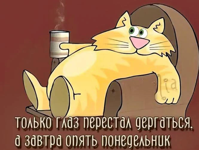 Так ведь?🫣😄