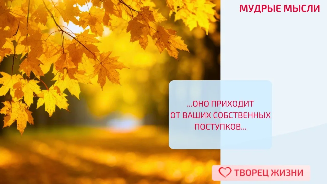 🔆 Счастье — не что‑то готовое. Оно приходит от ваших собственных поступков (Далай‑лама)