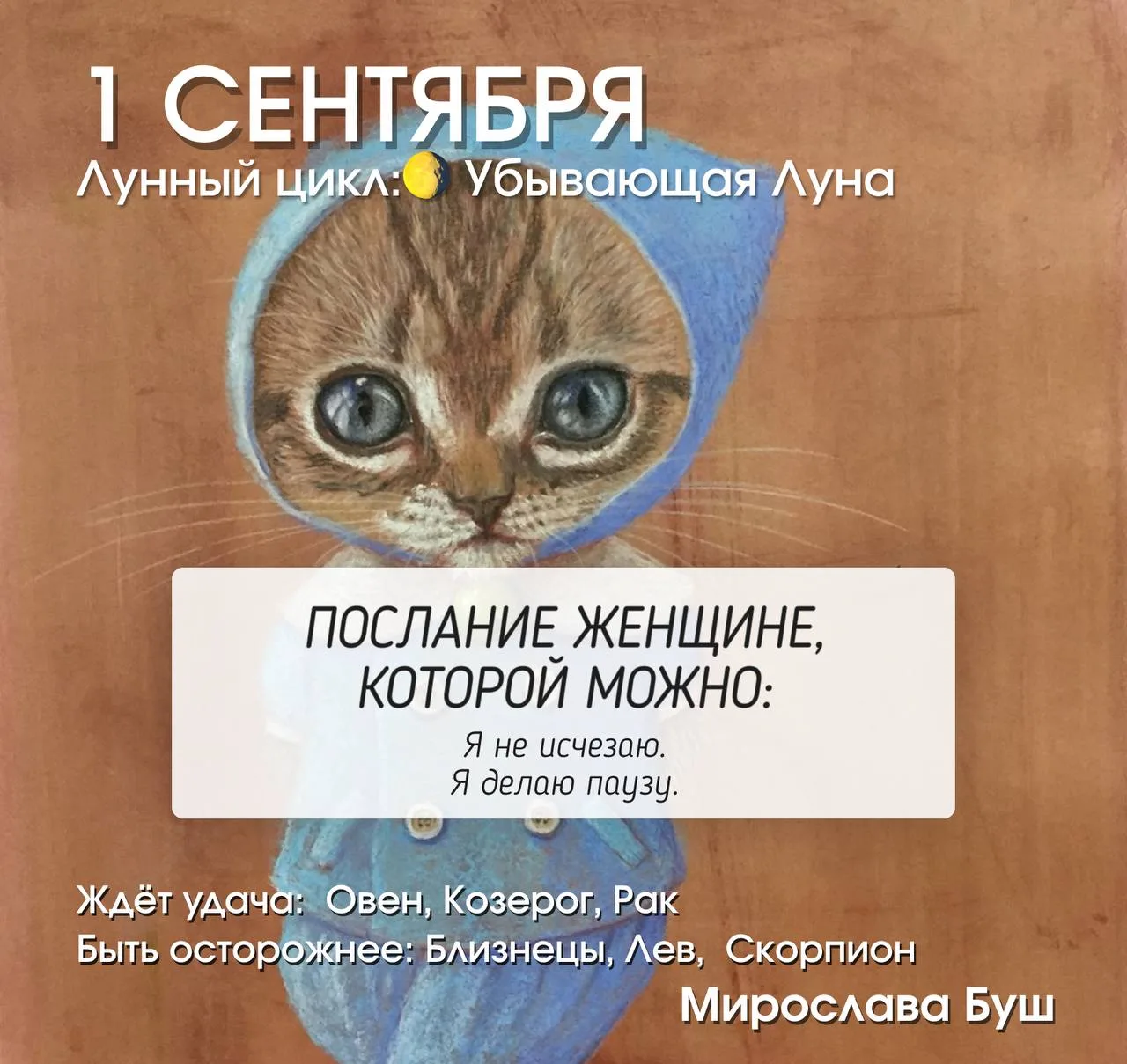 1 сентября РЕКОМЕНДАЦИИ 🔥